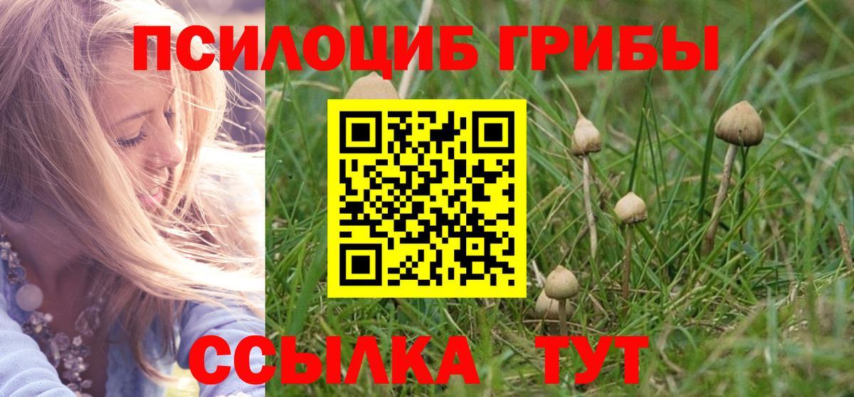 Псилоцибиновые грибы мухоморы Качканар