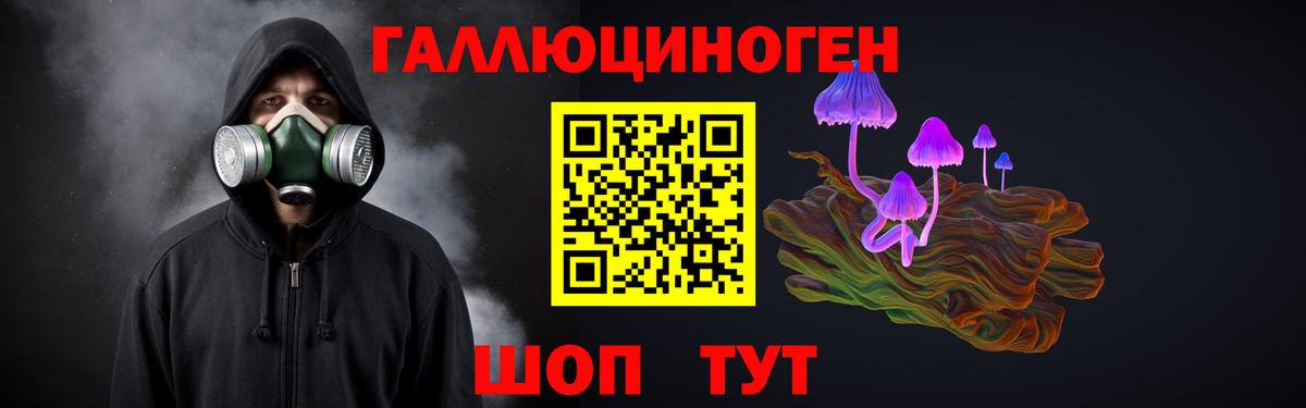 Псилоцибиновые грибы Psilocybe  Псилоцибиновые грибы прущие грибы  Вход с VPN  Качканар 